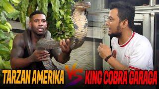 MONSTER KING COBRA GARAGA DITAKLUKAN TARZAN AMERIKA‼️