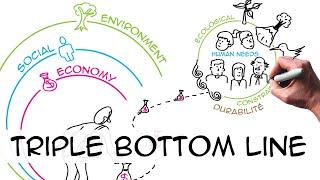 Triple bottom line (3 pillars): sustainability in business