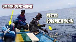 MANCING BLUE FHIN TUNA SAMBARAN BERTURUT-TURUT