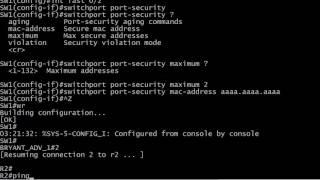 Port Security Sticky AND Static MAC Address Entries