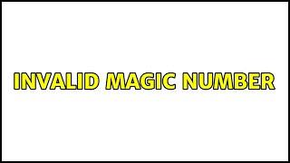 invalid magic number