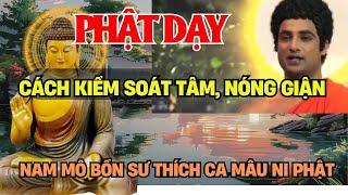 Phật Dạy Cách Kiểm Soát Tâm, Nóng Giận #loiphatday #suminhtue #thichminhtue