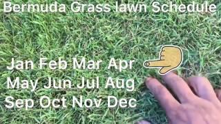 Bermuda Grass Calendar, plus lawn calendar for Bermuda Grass central, when to apply Pre emergent.
