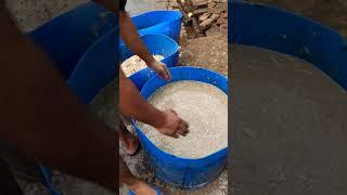 day 14 feed formula  #shortvideo #dairyfarm #viralvideo #newsong #dairyfarming #motivationalvideo