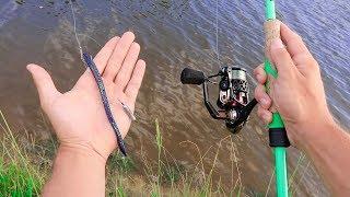 Catch 10x MORE Fish Using A Dropshot (Bass Fishing Tips)