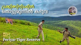 Forest Trekking in Gavi | Jungle Camp in Periyar Tiger Reserve | Vallakadavu Manammutti Mala