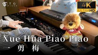 【YI JIAN MEI】Xue Hua Piao Piao | Piano Cover -TG Piano