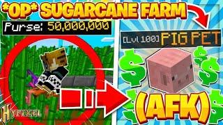 ABUSING THIS AFK SUGARCANE FARM!! -- Hypixel Skyblock