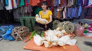 Harvest chicken, vegetable goes to the market sell - Free Bushcraft, LIVING OFF GRID Build Farm