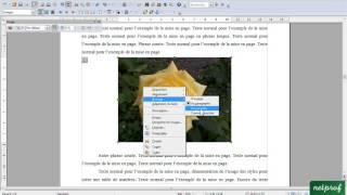 Open Office Writer Insérer des images avec légende et description