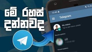 Top 5 Secret Tips For Telegram In Sinhala