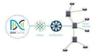 Cisco DNA Network Virtualization