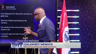 Nana Aba Anamoah's comments over the galamsey menace that got social media talking