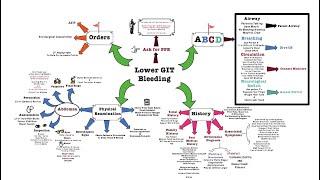 Lower GIT Bleeding - OSCE