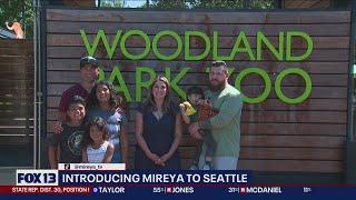 Good Day Seattle Mireya Garcia visits Woodland Park Zoo | FOX 13 Seattle