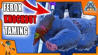 HOW TO TAME FEROX (KNOCKOUT METHOD) | Ark Genesis Ferox taming