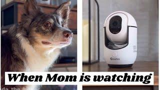 When Mom is watching