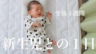 【新生児】里帰りなし / 新生児との１日 / 新米パパ・ママ奮闘中！【生後１週間】