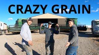 Crazy Grain (Crazy Train Parody)