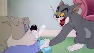 Go To Sleep Song (Tom And Jerry)