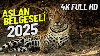 TÜRKÇE DUBLAJ ASLAN BELGESELİ 4K FULL HD İZLE KESİNTİSİZ / VAHŞİ YAŞAM HEMEN İZLEYİN!