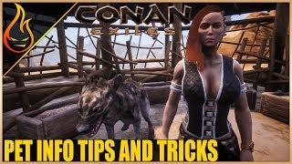 Eggs, Locations, Tricks And More Conan Exiles 2018 | Pet Tips