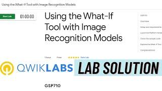 Using The What If Tool With Image Recognition Models Lab Solution | Qwiklabs [GSP710] | Lab Solution