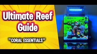 Ultimate Guide to Reef Aquariums: Everything You Need to Know About Corals! 