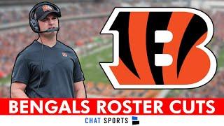 Cincinnati Bengals Roster SET: Initial 53 Man Roster Cuts For 2023 Ft Stanley Morgan, Trevor Siemian