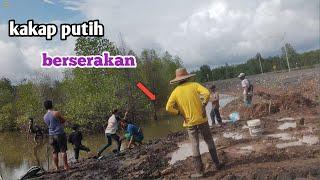 mancing kakap putih di sungai kecil...!! Ratusan ikan terselamatkan