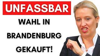 Vereine beeinflussen mit Steuergeld die Wahl, um AfD zu verhindern!