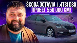 Для нее 550 000 км не пробег! SKODA OCTAVIA A7FL 1.4 TSI DSG