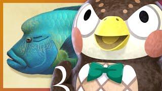 July Fish & Bug Guide | Animal Crossing New Horizons