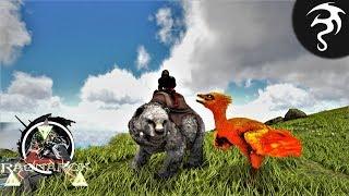 Taming the Firebird & Dire Polar Bear!! - Ep36 - Ark Ragnarok Extinction Core