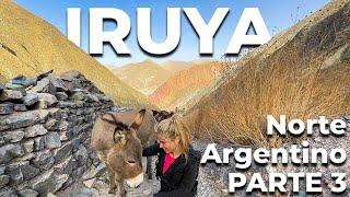 IRUYA y SAN ISIDRO  Argentina North  Salta - PART 3 -