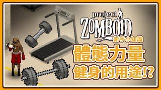 【新手小知識】末日健身的好處 成為肌肉大佬!? 體態 力量技能用途 Project Zomboid 殭屍毀滅工程 咖蛋遊戲 輕攻略