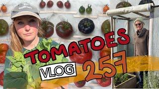 I Held Off Long Enough... Tomato Sowing! Plus Compost Shifting. Ep 257 || Plot 37