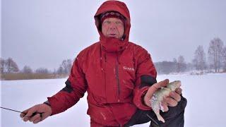 Окунь. На блесну в начале зимы. Ловля хищных рыб.