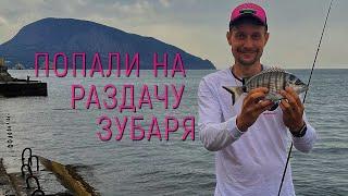 Рыбалка в Крыму на Зубаря 2023. Мы такого не ожидали.....