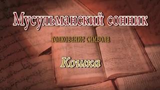 К чему снится Кошка сонник, толкование сна