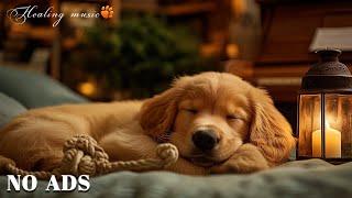 12 Hours Of Dog MusicRelaxing Sleep Music for DogsSeparation anxiety reliefDog Calming Music