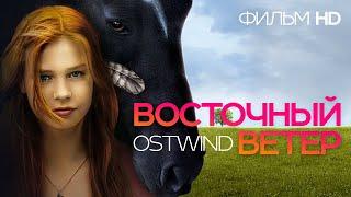 Восточный ветер /Ostwind/ Фильм HD