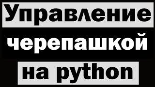 Управление черепашкой (turtle) с помощью клавиатуры python (питон)