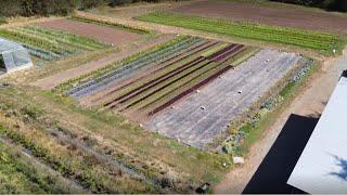 BCCAF | Nitrogen and Nutrient Management at Tatlo Road Farm