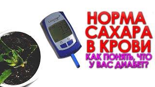 НОРМА САХАРА В КРОВИ. КАК ПОНЯТЬ, ЧТО У ВАС ДИАБЕТ?