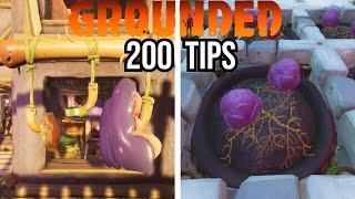 200 Tips & Tricks to Help YOU Beat Grounded!