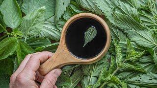 Crazy Good Wild Mint and Stinging Nettle Tea