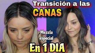 DESAPARECE TUS CANAS MEZCLA MAGICA ESPECIAL/ transición a las canas