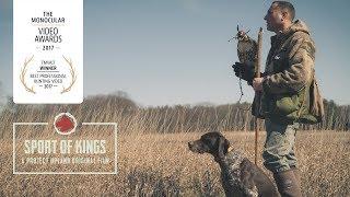 Sport of Kings - An Award Winning Falconry Video by Project Upland