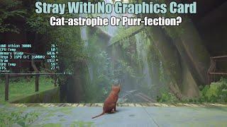 Stray With No Graphics Card
